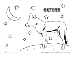 Coyote Coloring Page