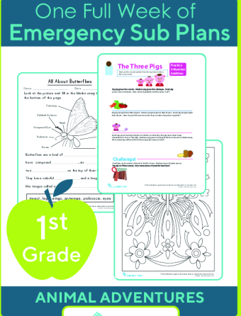 Sub Plans for First Grade large image