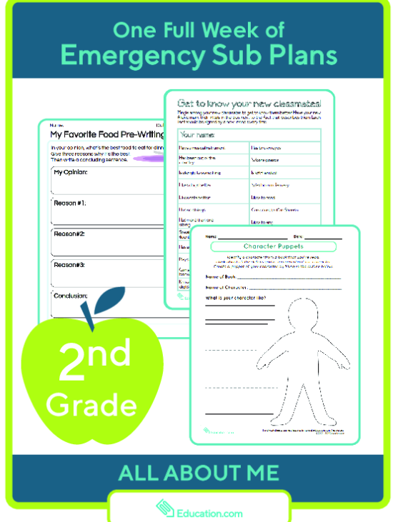 Sub Plans for Second Grade large image
