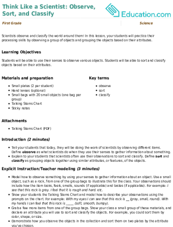 Think Like a Scientist: Observe, Sort, and Classify large image