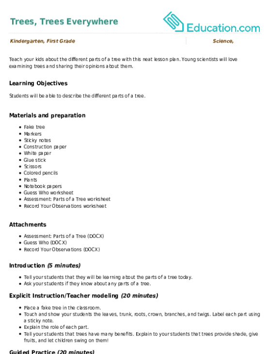 Trees, Trees Everywhere