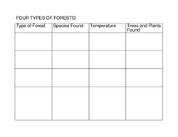 Four Types of Forest