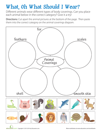 All About Animals | Workbook | Education.com