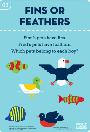 Fins or Feathers? Beginner's Biology