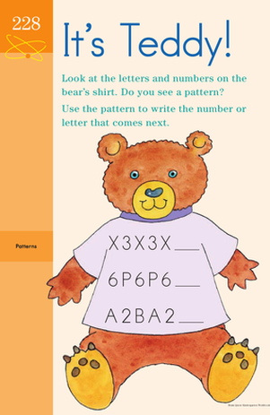 Text Filled Teddy: Identifying Patterns
