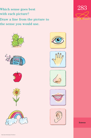 Making Senses! Identifying Sight, Sound and Smell