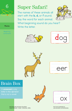 Letter Sounds: Practicing B, D, and F