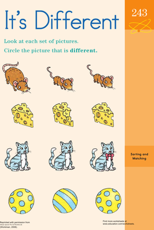 Cat and Mouse Match-Up