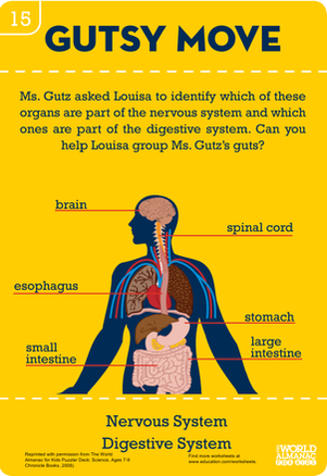 Gutsy Move: Nervous vs. Digestive
