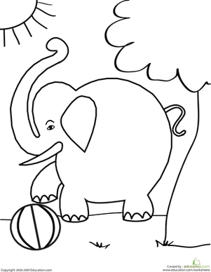 Color the Elephant