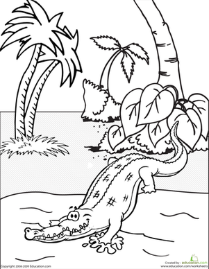 Color the Crocodile
