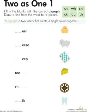 Digraphs: Two as One 1