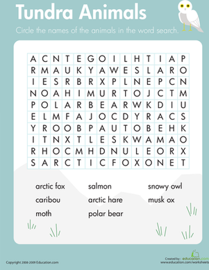 Habitats Word Search: Tundra Animals