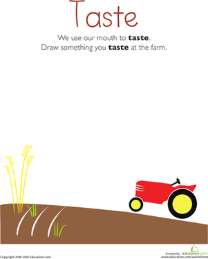 Our Five Senses: Taste