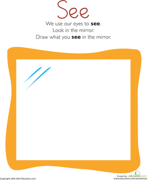 Our Five Senses: Sight