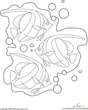 Color the Tropical Fish!