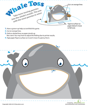 Whale Coin Toss