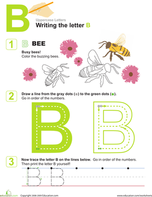 B is for Bees! Practice Writing the Letter B