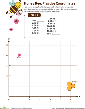 Honey Bee: Practice Coordinates
