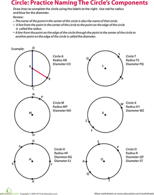 Practicing Naming a Circle's Components