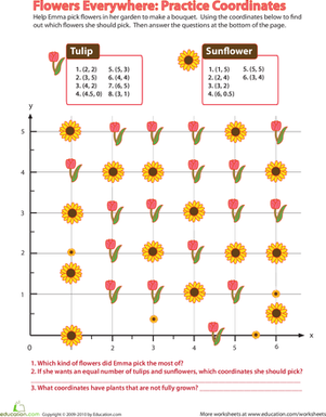 Flowers Everywhere: Practice Coordinates
