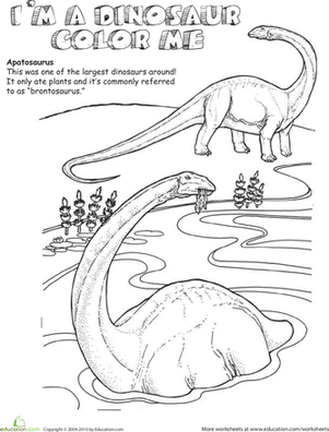 Apatosaurus