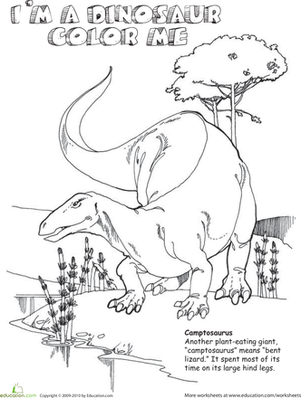 Camptosaurus