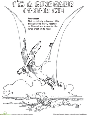 Color the Pteranodon