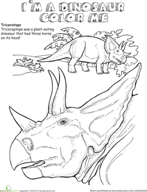 Triceratops