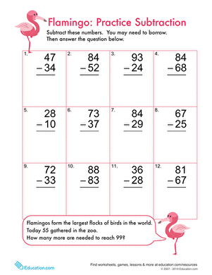 Flamingo Fun: Practice Two-Digit Subtraction