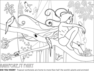 Color a Rainforest Fairy!