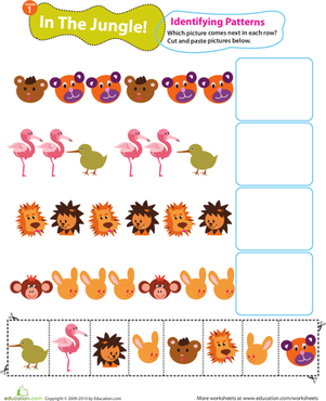 Identifying Patterns: In the Jungle