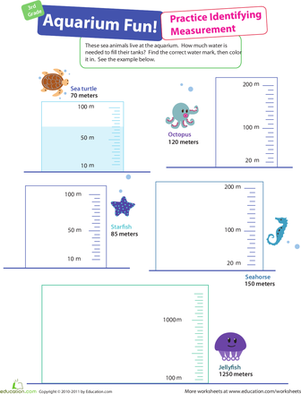 Measurement Mania #4: Aquarium Fun