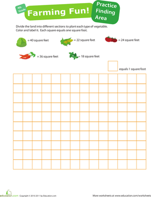 Practice Finding Area #4: Farming Fun!