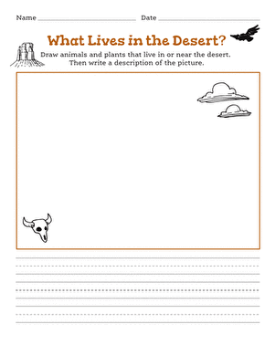 What Lives in the Desert?