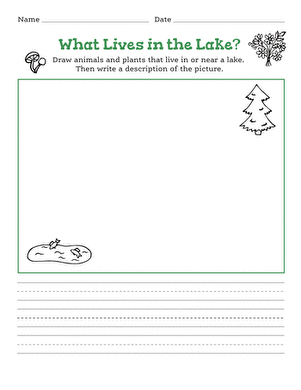 What Lives in the Lake?