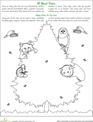 Celebrate Trees with a Coloring Activity