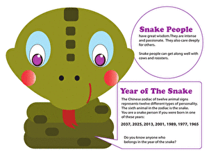 Year of the Snake