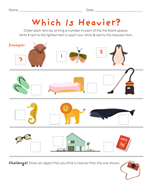 Which is Heavier?