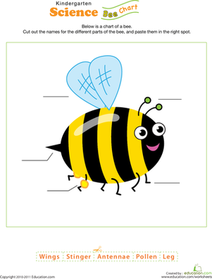 Bee Science!