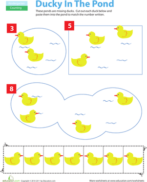 Cut and Paste Counting: Ducks