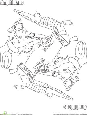 Color a Mandala: Amphibians
