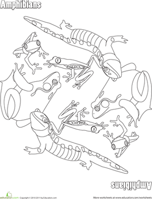 两栖动物着色页面