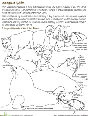 Endangered Species Coloring Page