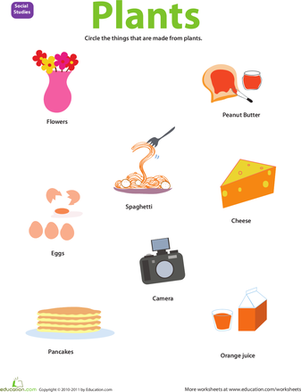 Resource: Plants