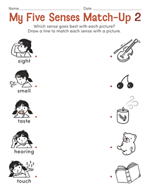 My Five Senses Match-Up 2