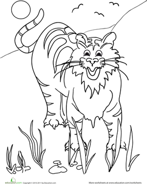 Color the Tiger