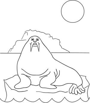 Color the Walrus