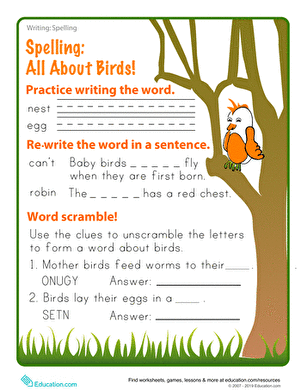 Spring into Spelling: Birds