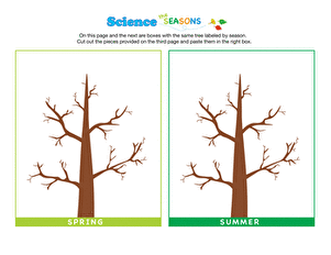 Science of the Seasons: How Do Trees Change?